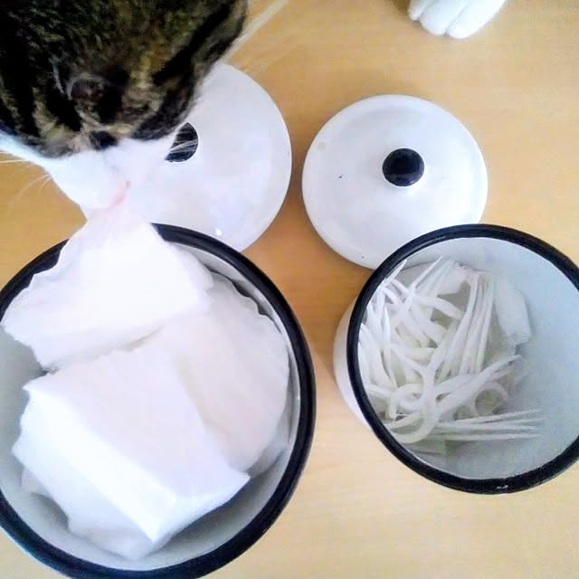 minacoさんの部屋