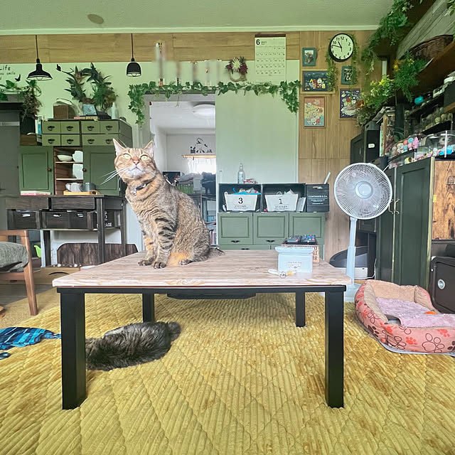 sumoanzuさんの実例写真