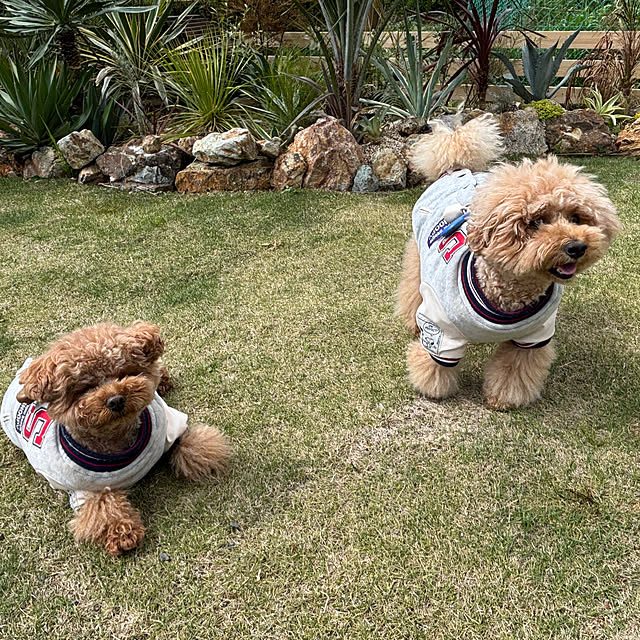 bonber0212さんの実例写真