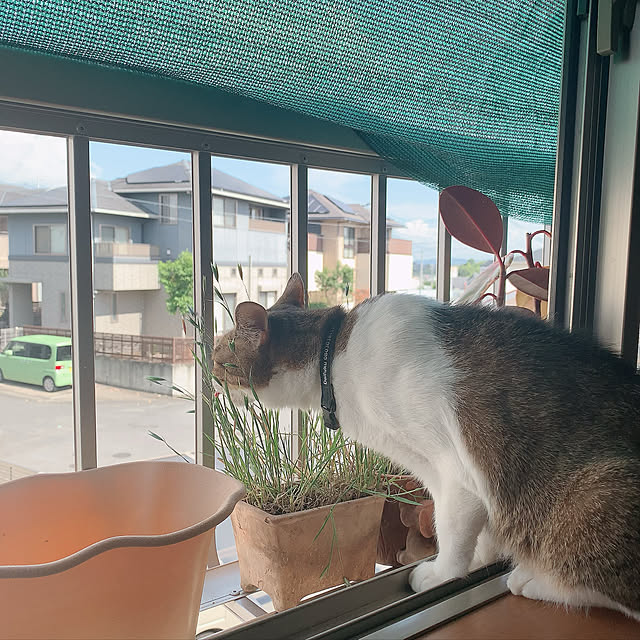 emiさんの実例写真