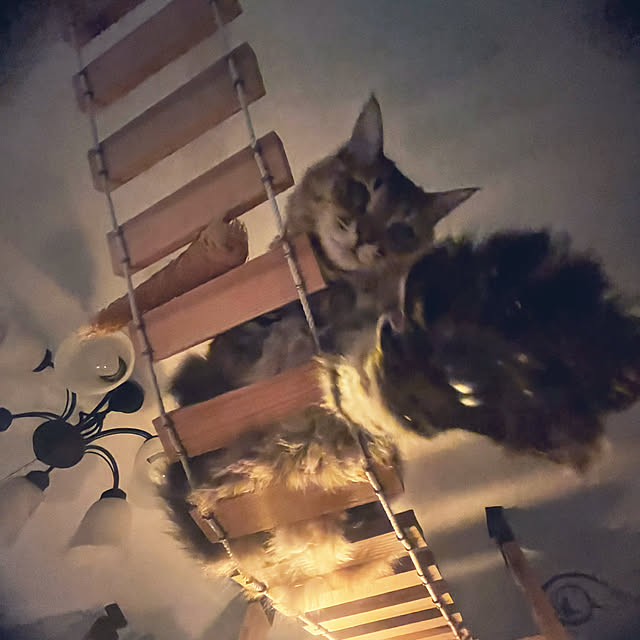 Mさんの実例写真