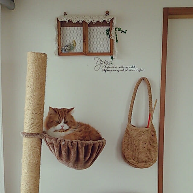 tomさんの実例写真