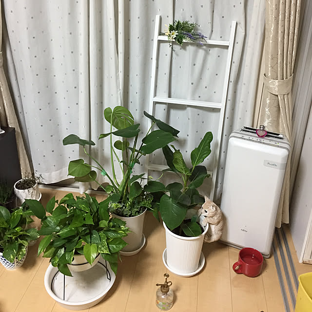 emiさんの実例写真
