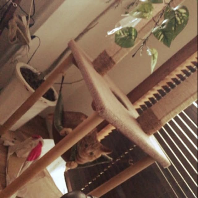 sumisumiさんの実例写真