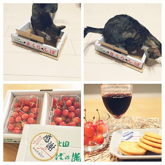 hanacocoさんの実例写真