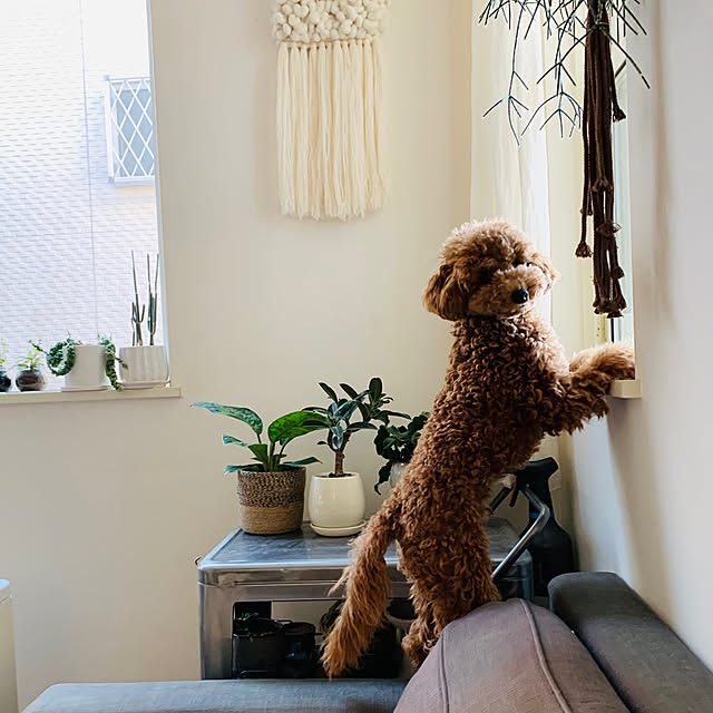 mogさんの実例写真