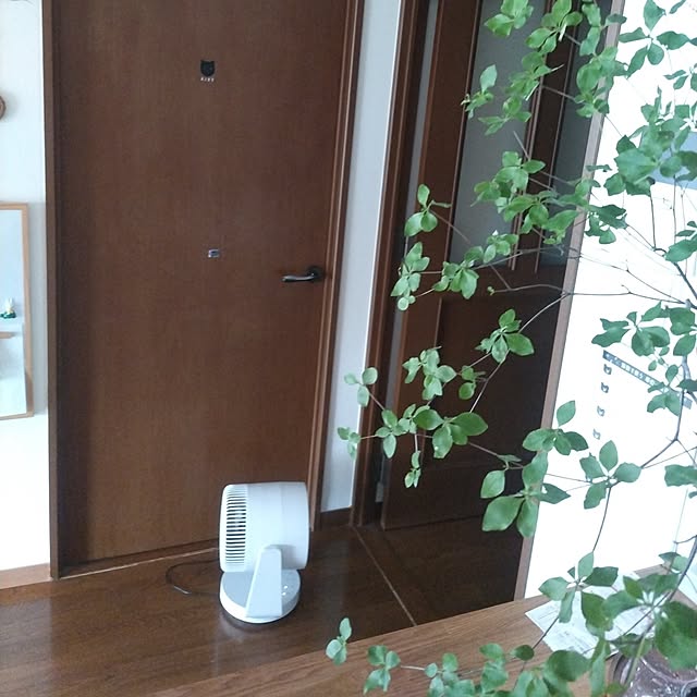 sakiさんの部屋