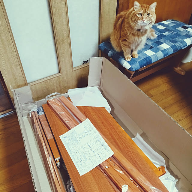 shirabenさんの実例写真