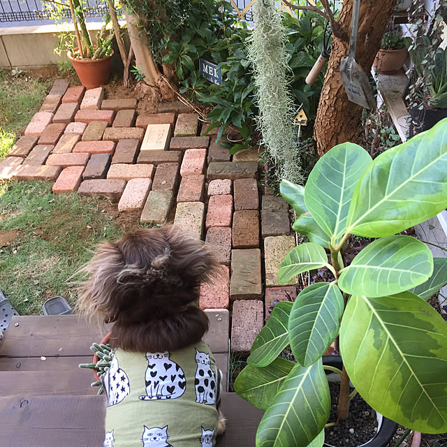 yupponさんの実例写真