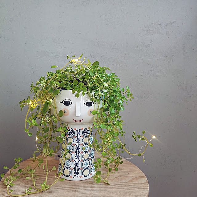 Mi-koさんの実例写真