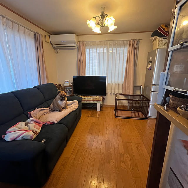 chi_gogaさんの部屋