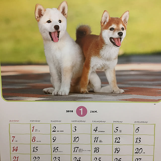 v.4ma-ma.0519さんの実例写真