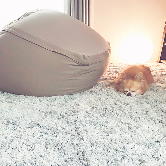 runrunさんの実例写真