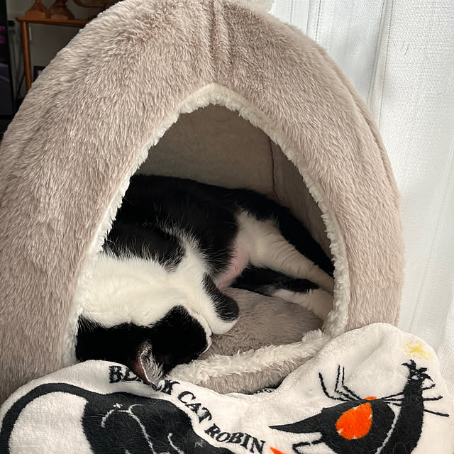 kojimasaさんの部屋
