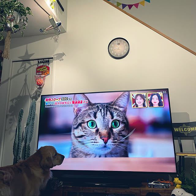 marinkoさんの実例写真
