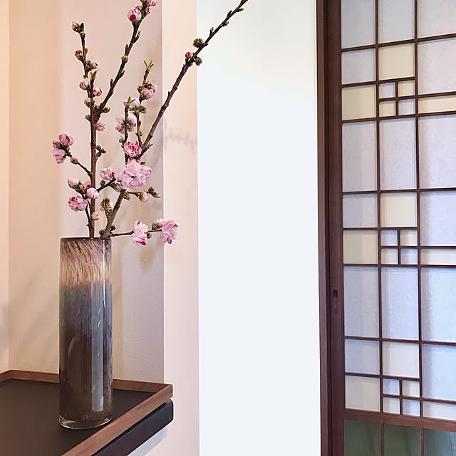 5mayさんの実例写真
