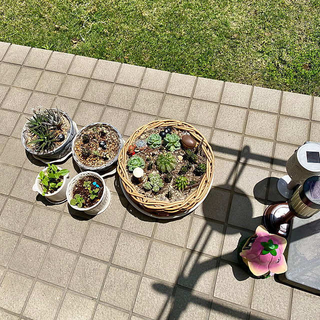 YuuKoさんの実例写真