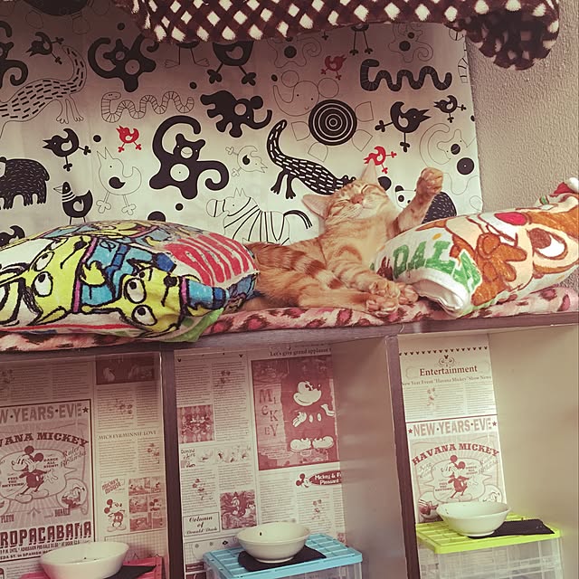 kotetuさんの実例写真