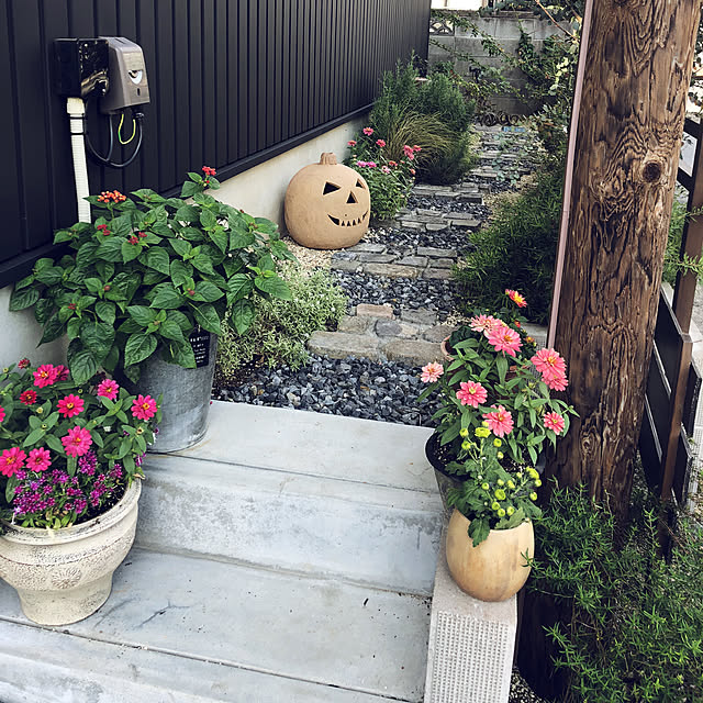 SACHI119さんの実例写真