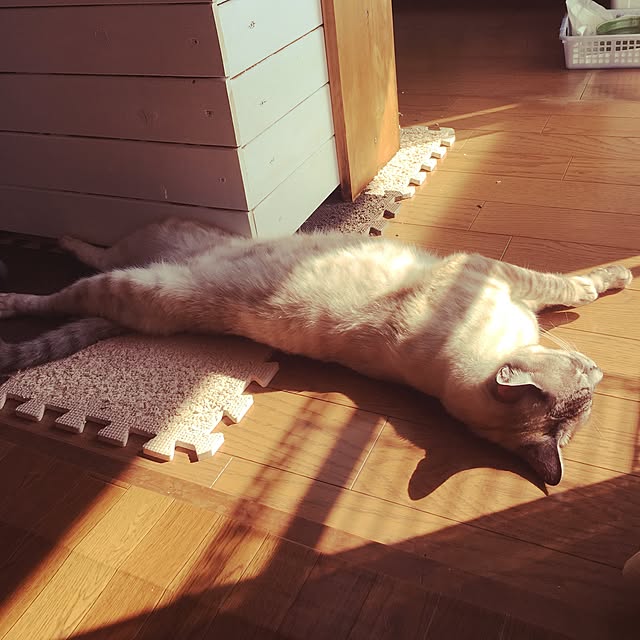muwaさんの実例写真