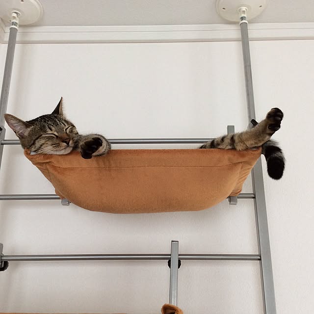 kimihadukiさんの実例写真