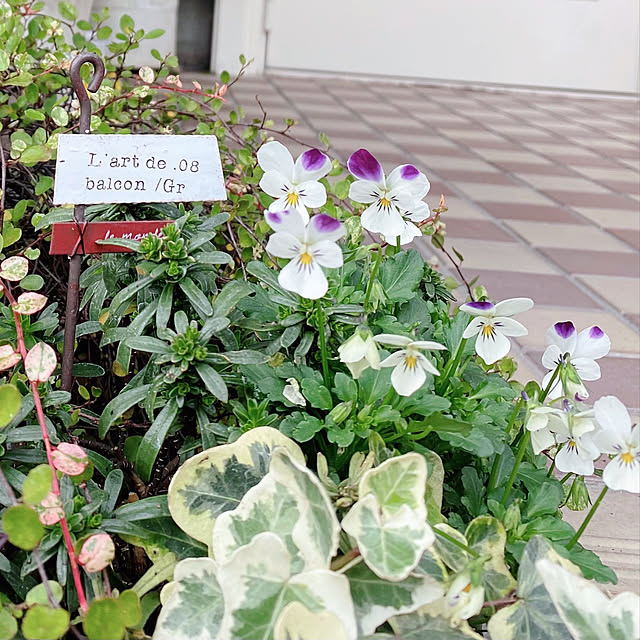 r.k.m.n_n.3.4.5さんの実例写真