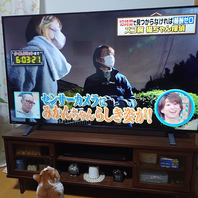 mugi77327732さんの実例写真
