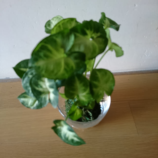 hiroさんの実例写真