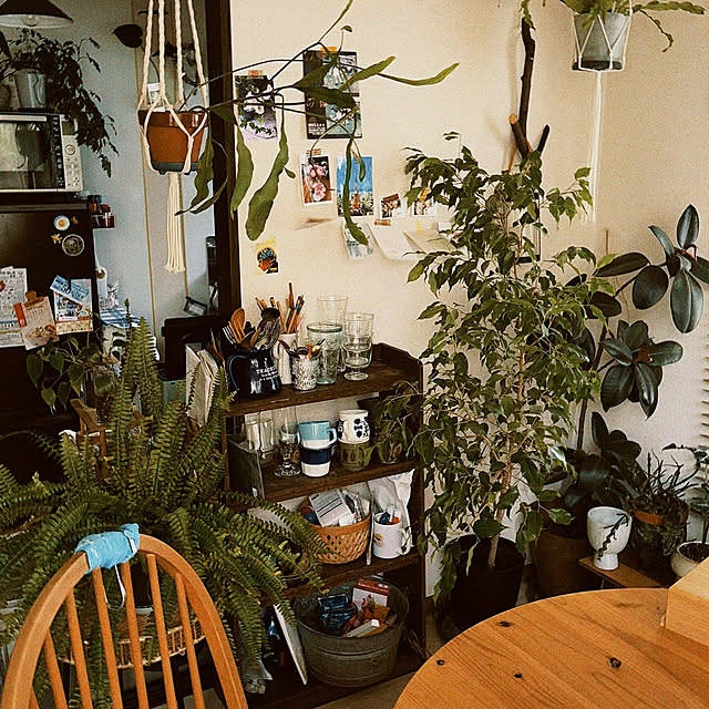 yukiatarIさんの部屋