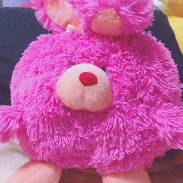 Harukiさんの実例写真