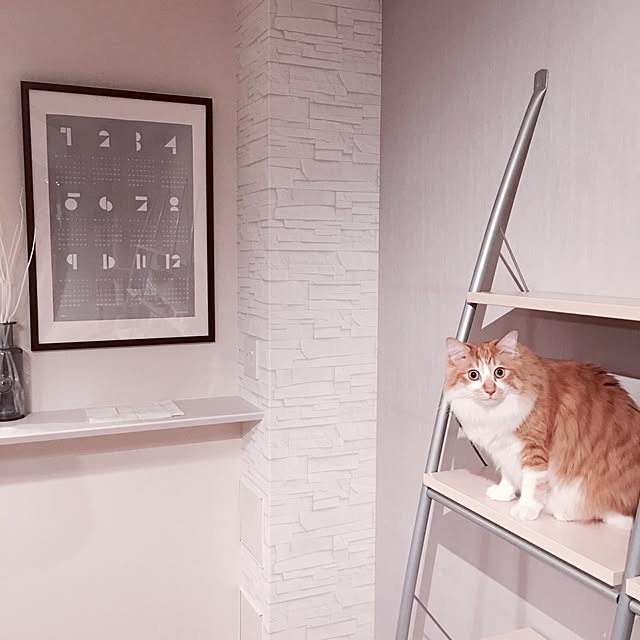 Reikoさんの実例写真
