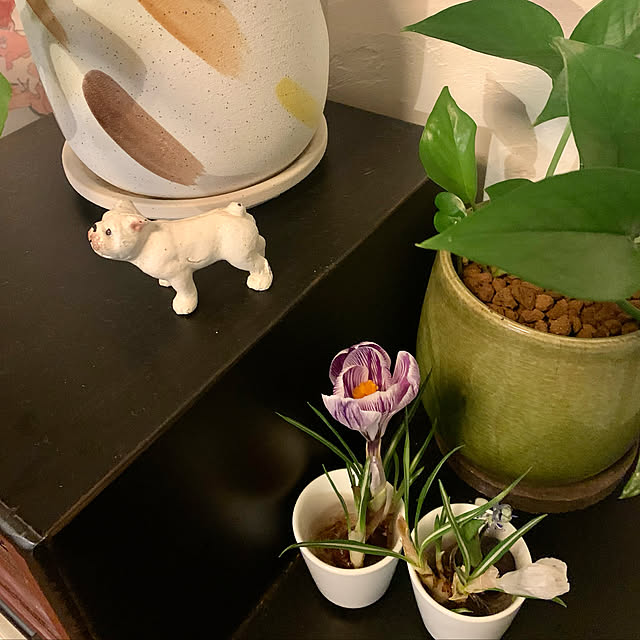 sachihoさんの実例写真