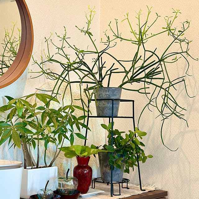 nao.naoさんの部屋