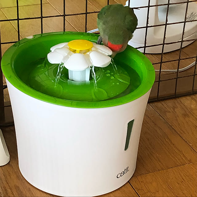 kohaさんの実例写真