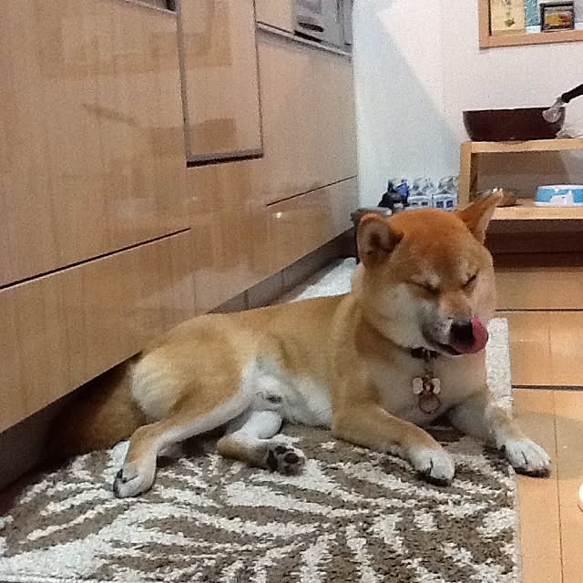 kotaさんの実例写真