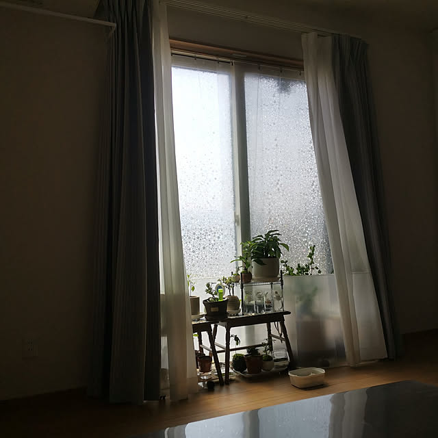 midomiさんの実例写真