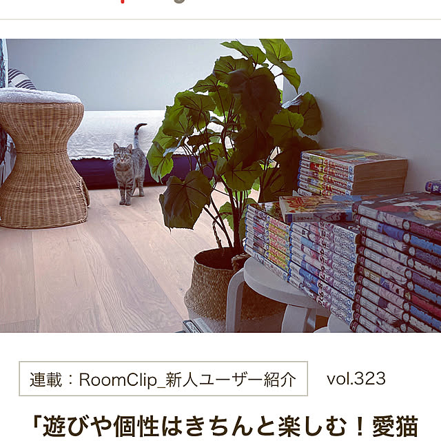 kimiさんの実例写真