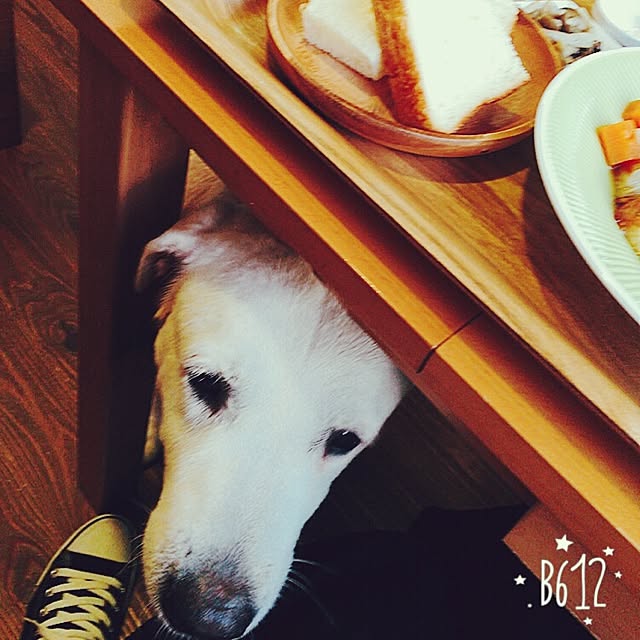 mayuoさんの実例写真