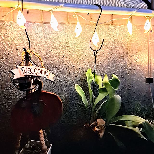 noaさんの部屋