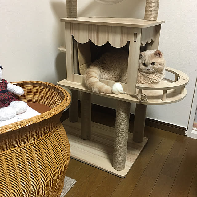 naokoさんの実例写真