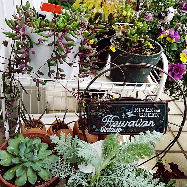 katさんの実例写真