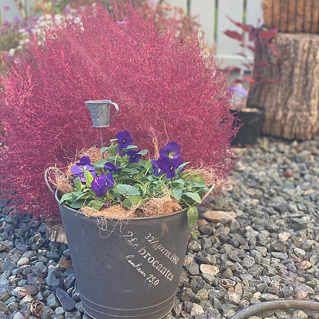 sattoさんの部屋