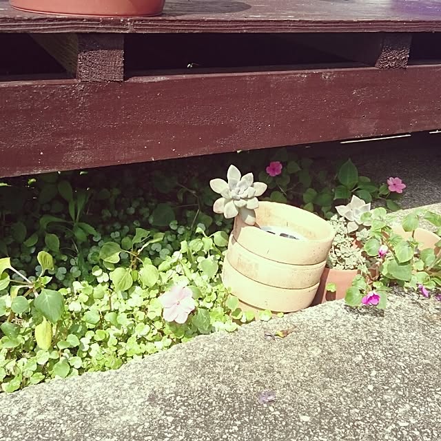 kiraさんの実例写真