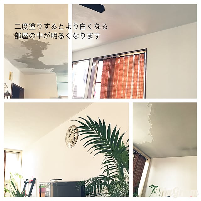 trappさんの実例写真