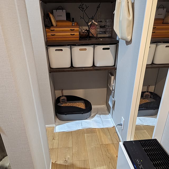 poteさんの部屋
