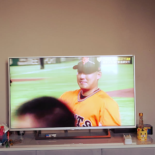 リビング/BRAVIA　43V型のインテリア実例 - 2022-05-30 23:39:06