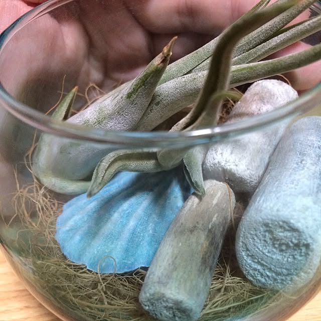 実例写真