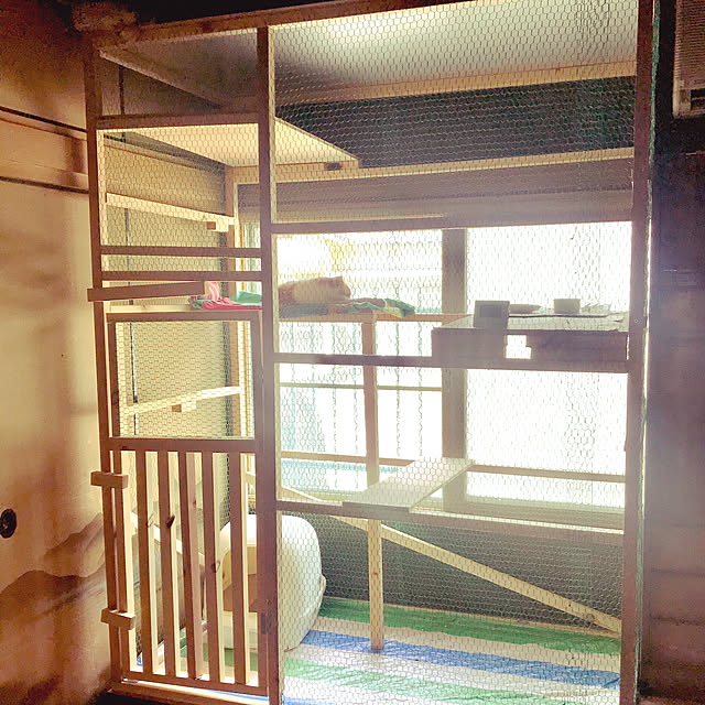 Apg1858349さんの実例写真