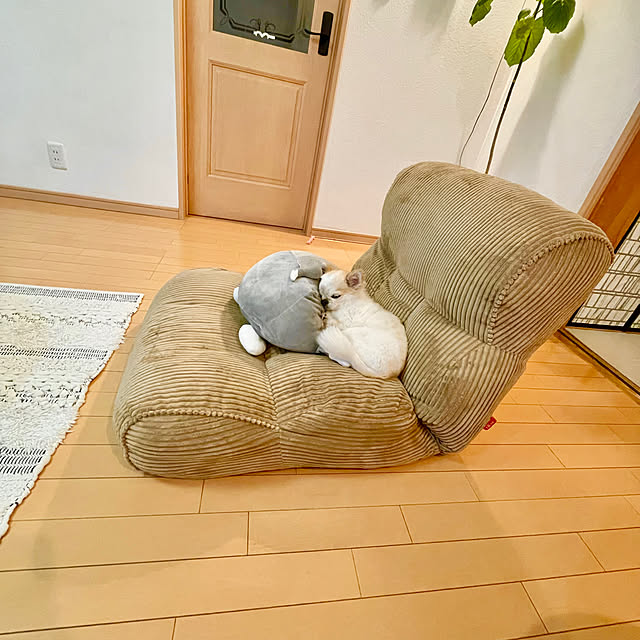 haritakaさんの実例写真