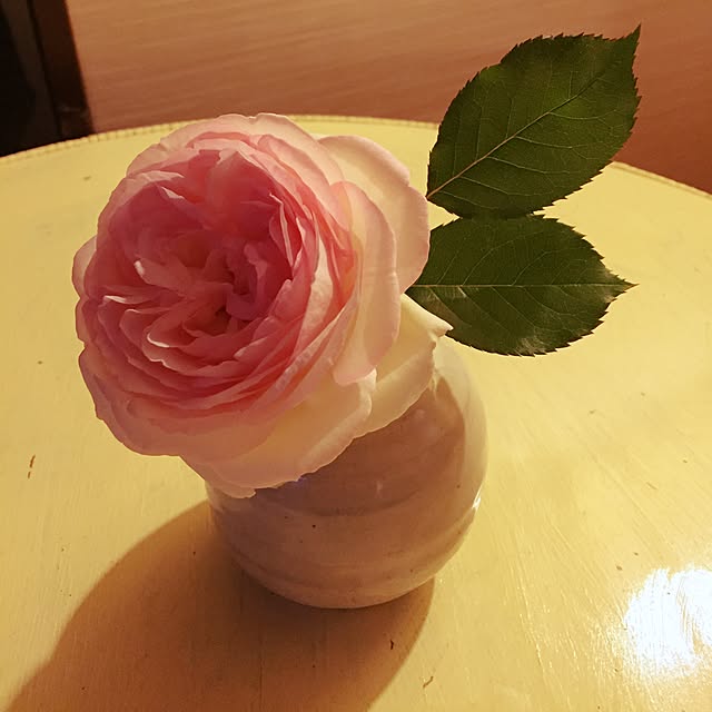 komisoさんの実例写真